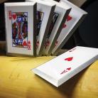 Royal Flush Throwing Cards Set